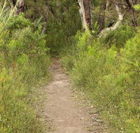 Three Views walking track - Phillip Island Accommodation