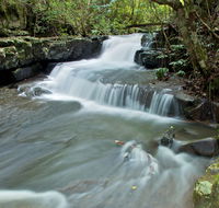 Jerusalem Creek trail - Phillip Island Accommodation