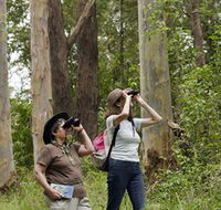 Chichester State Forest - Phillip Island Accommodation