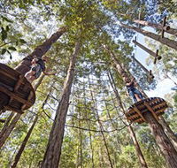TreeTop Adventure Park Central Coast - Phillip Island Accommodation
