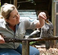 Walkabout Creek - Phillip Island Accommodation