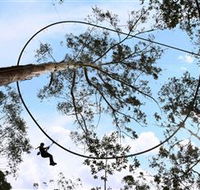 TreeTops Crazy Rider - Phillip Island Accommodation
