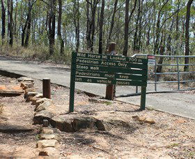 Wild Horse Mountain Lookout - Phillip Island Accommodation 0
