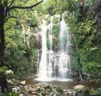 Budderoo National Park - The Falls Walk - Phillip Island Accommodation