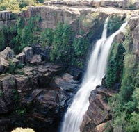 Minnamurra Rainforest Centre Budderoo National Park - Phillip Island Accommodation