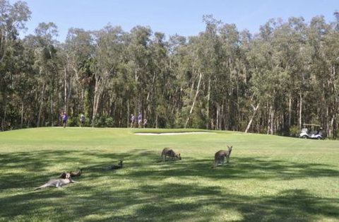 Emerald Downs Golf Course - Phillip Island Accommodation 4