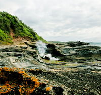 Glenrock State Conservation Area - Phillip Island Accommodation
