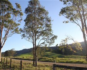 Tourist Drive 2 - Bucketts Way - Phillip Island Accommodation 1