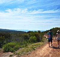Moonee Beach trail - Phillip Island Accommodation