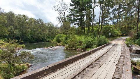 Nymboi-Binderay National Park - Phillip Island Accommodation 2