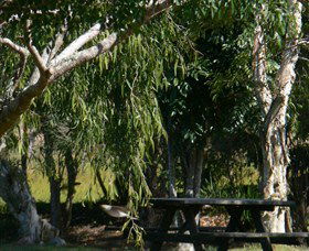Casino NSW Phillip Island Accommodation