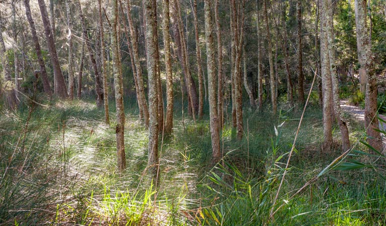 Brundee NSW Phillip Island Accommodation