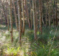 Anabranch loop track - Phillip Island Accommodation