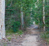 Delta track - Phillip Island Accommodation