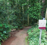 Walk with the Birds boardwalk - Phillip Island Accommodation