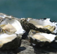 Jim Wilds Oyster Service - Phillip Island Accommodation