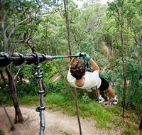 TreeTop Challenge - Phillip Island Accommodation