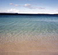 Hyams Beach trail - Phillip Island Accommodation