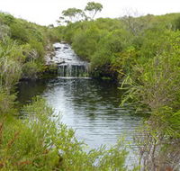 Booderee National Park Green Patch and Telegraph Creek Walking Tracks - Phillip Island Accommodation