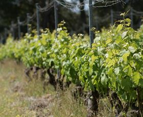 Barton Jones Wines - Phillip Island Accommodation 2