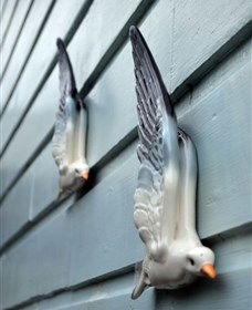 Kingstudio Gallery - Phillip Island Accommodation 5