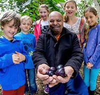 Wigay Aboriginal Culture Park - Phillip Island Accommodation