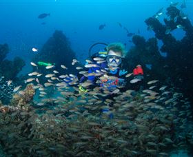 Aarhus Dive Site - Phillip Island Accommodation 0