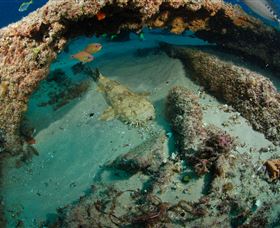 Aarhus Dive Site - Phillip Island Accommodation 3