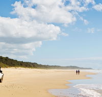 Bongil Bongil National Park - Phillip Island Accommodation