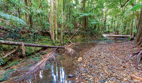 Ulidarra National Park - Phillip Island Accommodation 0