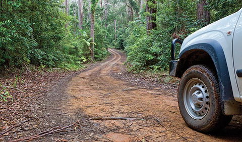 Ulidarra National Park - Phillip Island Accommodation 2