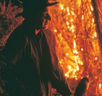 The Shed Gallery - Phillip Island Accommodation