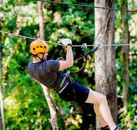 TreeTop Challenge Currumbin - Phillip Island Accommodation