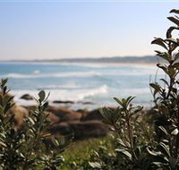 Cape Conran Nature Trail - Phillip Island Accommodation