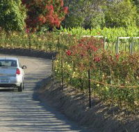 Cassegrain Wines - Phillip Island Accommodation