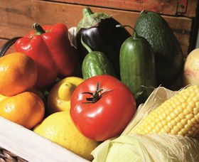 Summerland House Farm - House With No Steps - Phillip Island Accommodation 1