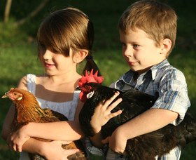 Summerland House Farm - House With No Steps - Phillip Island Accommodation 2