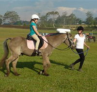 Port Macquarie Horse Riding Centre - Phillip Island Accommodation