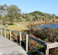 Mimosa Rocks walking track - Phillip Island Accommodation