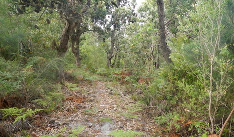 Kinchela Trig Lookout Walk - Phillip Island Accommodation 0