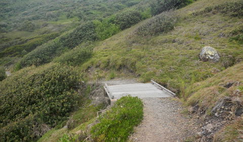 Connors Walking Track - Phillip Island Accommodation 2