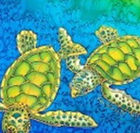 Sea Silks Gallery - Phillip Island Accommodation