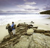 Wilderness Coast Walk - Phillip Island Accommodation