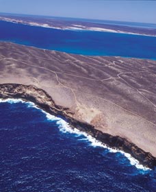 Zuytdorp Cliffs - Phillip Island Accommodation 1