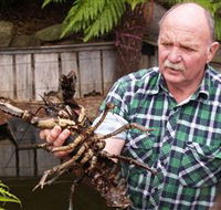 Lobster Ponds - Phillip Island Accommodation