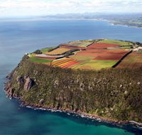 Table Cape - Phillip Island Accommodation