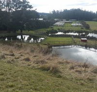 Guide Falls Farm - Phillip Island Accommodation