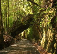 Philosopher Falls - Phillip Island Accommodation