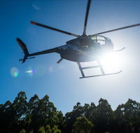 Tall Timbers Adventure Tours - Phillip Island Accommodation