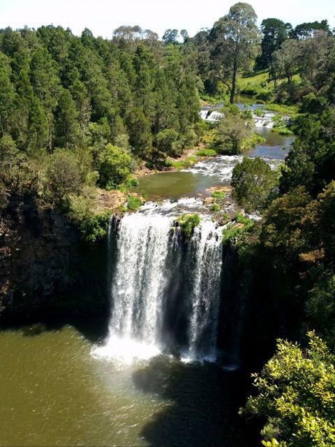 A1 Coffs Coast Tours - Phillip Island Accommodation 4